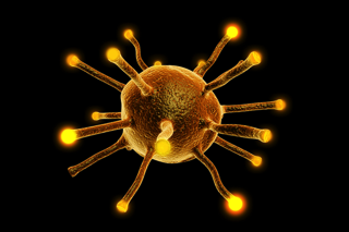 749 viral infections autoimmunity